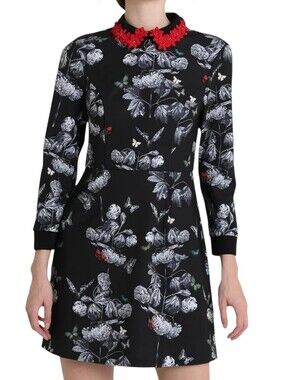 Ted Baker London Amaliia Narnia Floral Collar Dress Size 4 NWT